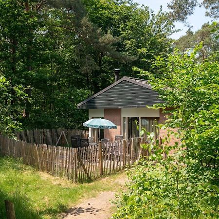 Comfort 6-Person Dog Bungalow In The Holiday Park Landal Heideheuvel بيكبيرخين المظهر الخارجي الصورة