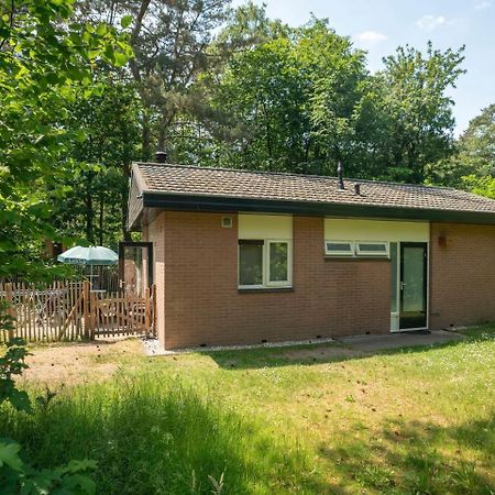 Comfort 6-Person Dog Bungalow In The Holiday Park Landal Heideheuvel بيكبيرخين المظهر الخارجي الصورة